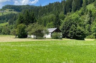 Grundstück zu kaufen in Hauptstraße 36, 8762 Oberzeiring, 8762 Oberzeiring - Grundstück mit stark sanierungsbedürftigem Haus und landwirtschaftlicher Nutzfläche