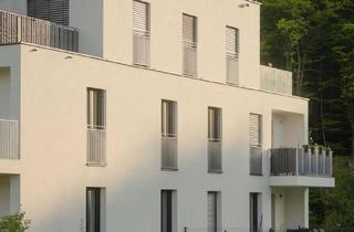 Wohnung mieten in Linzer Straße 162c, 3003 Gablitz, Drei-Zimmer-Wohnung mit Terrasse