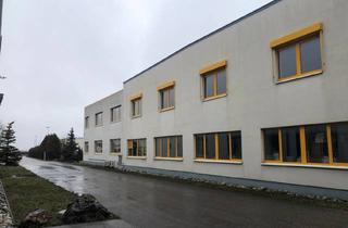Büro zu mieten in 2514 Traiskirchen, Möbliertes Büro zu Vermieten - Individuell Gestaltbar - ohne Makler