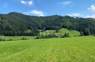 Grundstück zu kaufen in 3335 Weyer, Bauen Statt Kompromisse Eingehen ? Sonniger, Ebener und Voll Aufgeschlossener Traum-Baugrund in Ruhelage.