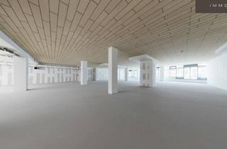 Geschäftslokal mieten in Verkehrs-Knotenpunkt Wien Floridsdorf, Media Markt, Xxxlutz, 1210 Wien, Großzügige Geschäftslokale zwischen 300 und 900 m² im 21. Bezirk - Top Sichtbarkeit