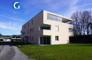 Wohnung mieten in 6973 Höchst, Schöne 2 Zimmer Neubauwohnung