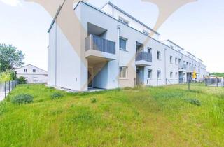 Wohnung mieten in Zapletalgasse, 3100 Sankt Pölten, MIETE mit KAUFOPTION! Familienfreundliche 3-Zimmer-Wohnung mit Eigengarten in St. Pölten zu vermieten!