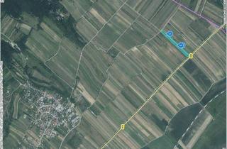 Gewerbeimmobilie kaufen in 7083 Purbach am Neusiedler See, Weinberg – 11.559 m² in ausgezeichneter Lage zwischen Purbach und Breitenbrunn