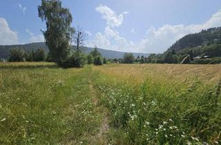 Grundstück zu kaufen in 9873 Döbriach, • Millstätter See | 4.989 m² Entwicklungsgrundstück für Tourismus & Wohnbau – Erweiterbar auf über 20.000 m²