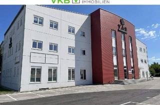 Gewerbeimmobilie kaufen in 4052 Linz, Büroräumlichkeiten und Lagerflächen ab 20 - 240 m²