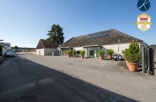 Gewerbeimmobilie kaufen in 3500 Krems an der Donau, Firmensitz / Betriebsobjekt mit 320m² Büros, 400m² Hallen/Garagen & 750m² Lagerplatz
