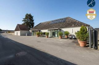 Büro zu mieten in 3500 Krems an der Donau, Firmensitz / Betriebsobjekt mit 320m² Büros, 400m² Hallen/Garagen & 750m² Lagerplatz