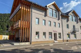 Geschäftslokal mieten in 8862 Stadl an der Mur, Ihr neuer Geschäftsstandort mit 89 m² in attraktiver Lage!