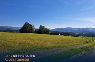 Grundstück zu kaufen in 8254 Sommersgut, Rarität: Wunderschönes Grundstück mit eigenen Quellenanteil in Wenigzell zu verkaufen!
