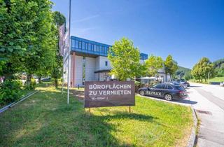 Büro zu mieten in 5322 Hof bei Salzburg, Raum für Unternehmen – Moderne Gewerbefläche in Hof bei Salzburg