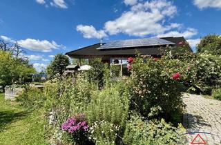 Haus kaufen in 4910 Ried im Innkreis, Außergewöhnliches Haus mit separater Wohneinheit oder Praxis auf ca. 5.863 m² Grund in idyllischer Ruhelage nahe der Bezirkshauptstadt Ried im Innkreis!