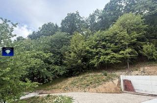 Grundstück zu kaufen in 7212 Forchtenstein, Wunderbares Baugrundstück in bester Lage in Forchtenstein mit herrlichem Ausblick. Das Grundstück verfügt bereits über eine fertige Bodenplatte für ein 170m² großes Haus sowie alle erforderlichen Stützmauern uns Anschlüsse.-10077