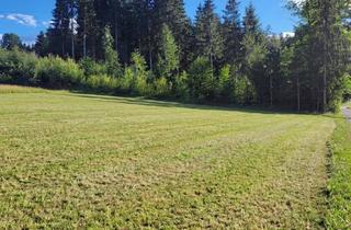 Grundstück zu kaufen in 9220 Selpritsch, Einmalig: Baugrundstück am Waldrand mit unverbaubarem Grünblick in Velden-Umgebung