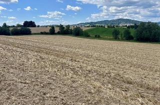Grundstück zu kaufen in 4060 Leonding, Landwirtschaftlicher Nutzgrund Leonding