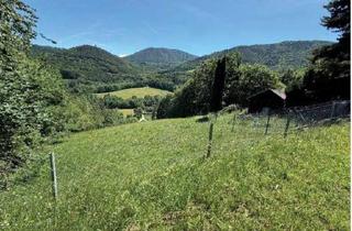 Gewerbeimmobilie kaufen in 2640 Gloggnitz, "Wald und Grünland!"