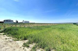 Grundstück zu kaufen in 7100 Neusiedl am See, Großes Baugrundstück mit angrenzender Grünfläche