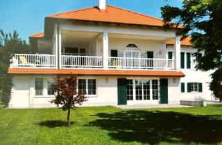 Villen zu kaufen in 7434 Dreihütten, Landhausvilla in guter LUFT , ruhiger , sonnigen Lage, in perfekter Hausqualität!