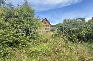 Grundstück zu kaufen in 6832 Sulz, Grundstückspaket in Sulz