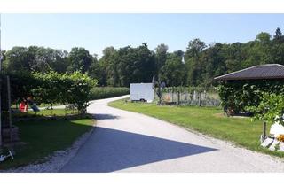 Wohnung mieten in 4651 Stadl-Traun, Erdgeschosswohnung in einem Haus in idyllischer Alleinlage- Nähe Traunfluss & Ortszentrum Stadl Paura und Lambach