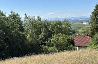 Grundstück zu kaufen in 4320 Perg, Mein Platz für die Zukunft: Baugrund mit herrlichem Ausblick ohne Bauverpflichtung