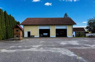 Geschäftslokal mieten in 4775 Taufkirchen an der Pram, Vielseitige Lager-, Gewerbe- oder Werkshalle an Fernstraße 137 zu mieten