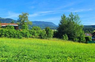 Grundstück zu kaufen in Untere Mölten 20, 8045 Weinitzen, Sonnenlage am Waldrand, Schöcklblick, aufgeschlossen & frei von Servituten (1 in Verhandlung/1 frei)
