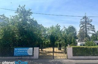 Grundstück zu kaufen in 1220 Wien, Ich träum von Eßling - ca. 500 m² Eigengrund für naturnahes Wohnen!