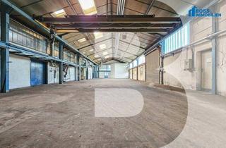 Büro zu mieten in Am Ottstorfer Berg 50, 4600 Thalheim bei Wels, Attraktive Lagerhalle mit vielfältigen Nutzungsmöglichkeiten