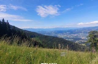 Grundstück zu kaufen in Rieding, 9400 Wolfsberg, Bauland Kurgebiet und Grünland auf der Koralm