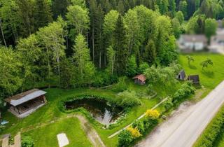 Immobilie kaufen in 4656 Kirchham, Naturparadies Für Pferdehaltung, Therapie und Innovative Konzepte