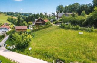 Grundstück zu kaufen in 4656 Kirchham, Besondere Form, Große Möglichkeiten - Idealer Baugrund Für ein Kompaktes Einfamilienhaus oder Tinyhouse