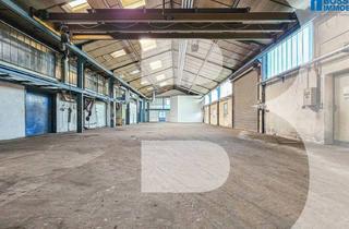 Lager mieten in Am Ottstorfer Berg 50/Halle A, 4600 Thalheim bei Wels, Attraktive Lagerhalle mit Vielfältigen Nutzungsmöglichkeiten