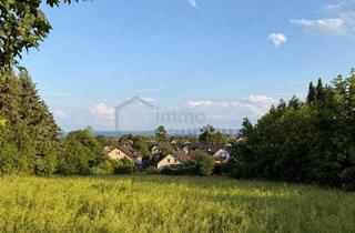 Grundstück zu kaufen in 2722 Winzendorf, Grundstück mit Bester Infrastruktur und Natur vor der Haustür ️