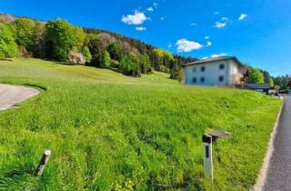 Grundstück zu kaufen in 4656 Kirchham, Heute Investieren - Morgen Profitieren: Baugrund in Sonniger Lage