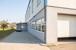 Lager mieten in Viehdorf - Ortsrand, 3322 Viehdorf, Lagerhalle mit Ca. 500 m² Fläche Günstig zu Vermieten, Raumhöhe Ca. 3,2 M, Einfahrtstor Ca. 4X3 M.