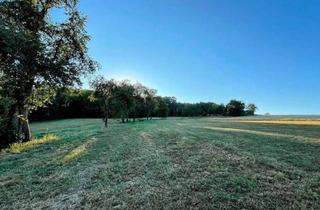 Grundstück zu kaufen in Kranzing, 4615 Holzhausen, Provisionsfrei - 1.650M² Idyllisches Baugrundstück ohne Bauzwang in Grüner Ruhelage
