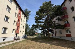 Wohnung kaufen in 2524 Teesdorf, Gemütliches Zuhause