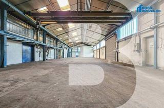 Gewerbeimmobilie mieten in 4600 Wels, Attraktive Lagerhalle mit vielfältigen Nutzungsmöglichkeiten