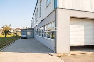 Gewerbeimmobilie mieten in 3322 Viehdorf, Lagerhalle mit ca. 500 m² Fläche günstig zu vermieten, Raumhöhe ca. 3,2 m, Einfahrtstor ca. 4x3 m.
