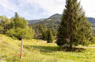 Grundstück zu kaufen in 6850 Dornbirn, Ankommen und Ausspannen auf 950 m² Naturglück