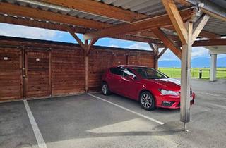 Gewerbeimmobilie kaufen in 8753 Fohnsdorf, KFZ-Carport-Stellplatz in Sillweg | Nur € 12.000,–