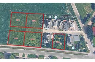 Grundstück zu kaufen in 2452 Mannersdorf am Leithagebirge, BAUGRÜNDE! Zwischen 580 m² und 716 m²