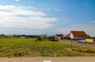 Grundstück zu kaufen in 7083 Purbach am Neusiedler See, Sonniges Baugrundstück in Purbach am Neusiedler See