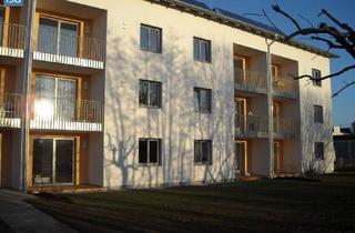 Wohnung mieten in Schulgasse 10, 4950 Altheim, Objekt 339: 2-Zimmerwohnung im "Betreubaren Wohnen" 4950 Altheim Schulgasse 10, Top 10