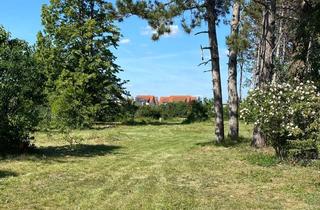 Grundstück zu kaufen in 2230 Gänserndorf, Traumhaftes Bau Gründstück in Bester Ruhiger Lage in Gänserndorf-Süd. ca. 12 Min von Stadt Wien