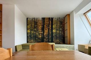 Wohnung mieten in Streckerpark, Ober St. Veit, 1130 Wien, Möblierte 2 Zimmer Dg-Wohnung Nähe u4 Ober St. Veit