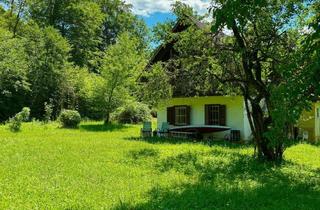 Haus kaufen in Auenstraße 15, 9535 Schiefling, Wald- und Grünanwesen mit Bestandsgebäude auf Ca. 8.363 m²