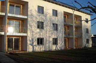 Wohnung mieten in Schulgasse 10/10, 4950 Altheim, Objekt 339: 2-Zimmerwohnung im Betreubaren Wohnen 4950 Altheim Schulgasse 10, Top 10