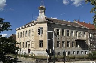 Einfamilienhaus kaufen in 3580 Horn, Historisches Bürgerhaus